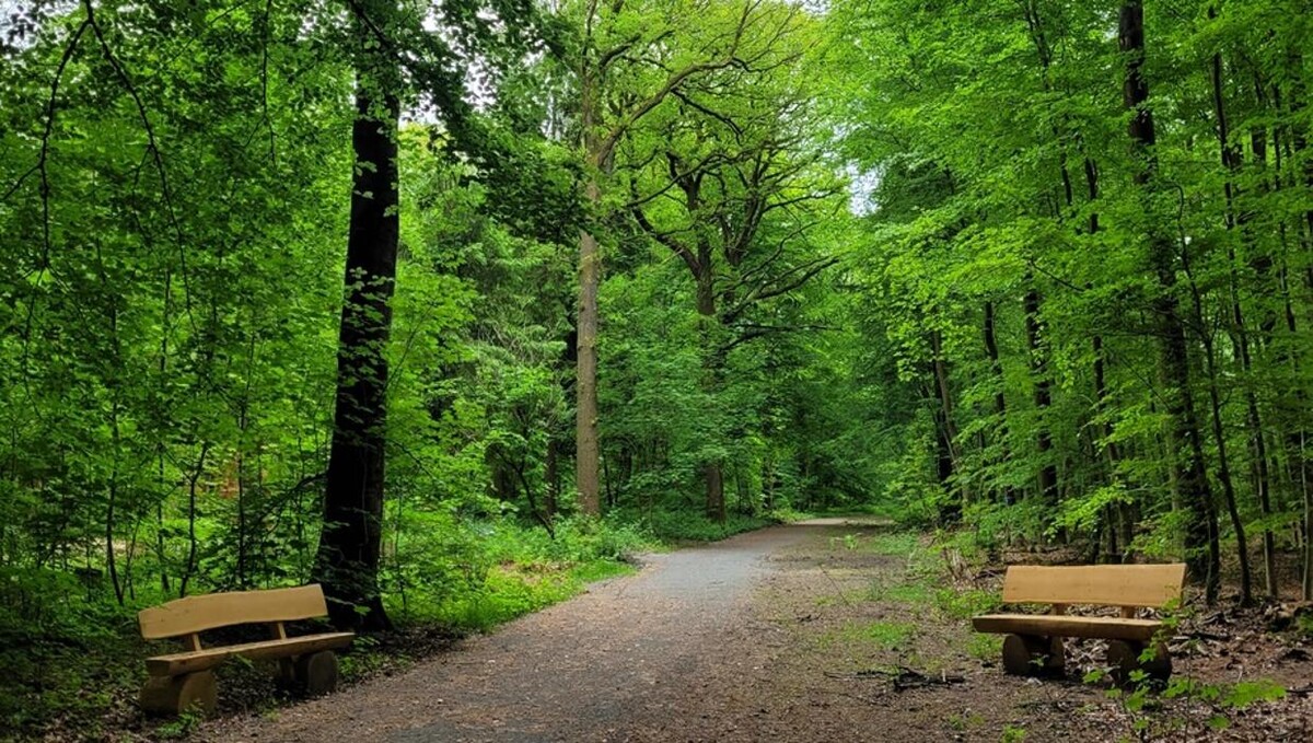 Bilder FriedWald Ostfriesland