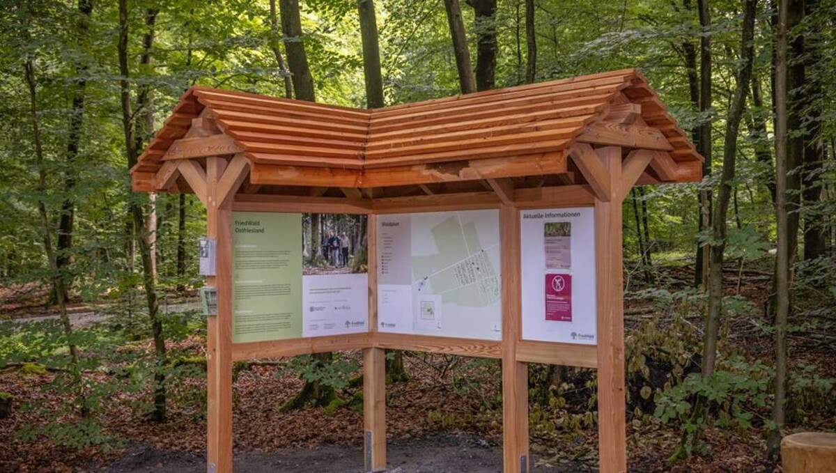 Bilder FriedWald Ostfriesland