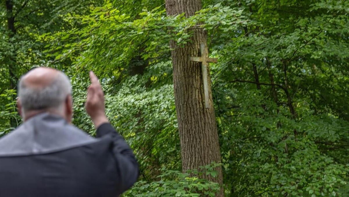 Bilder FriedWald Ostfriesland