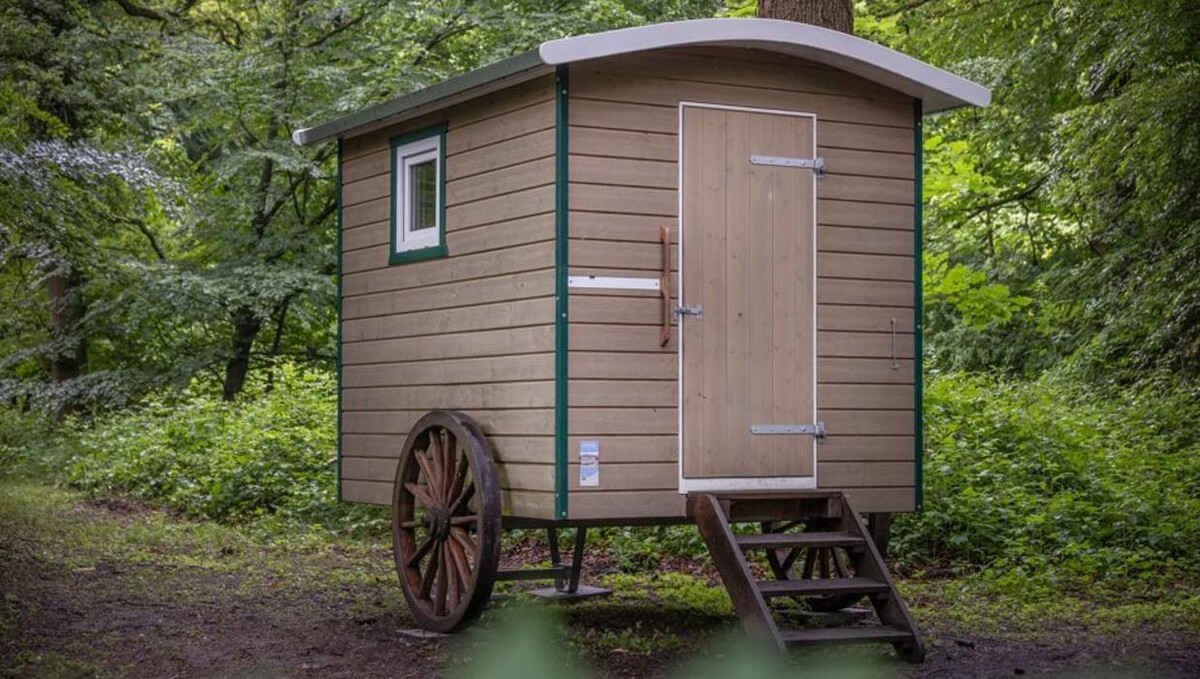 Bilder FriedWald Ostfriesland