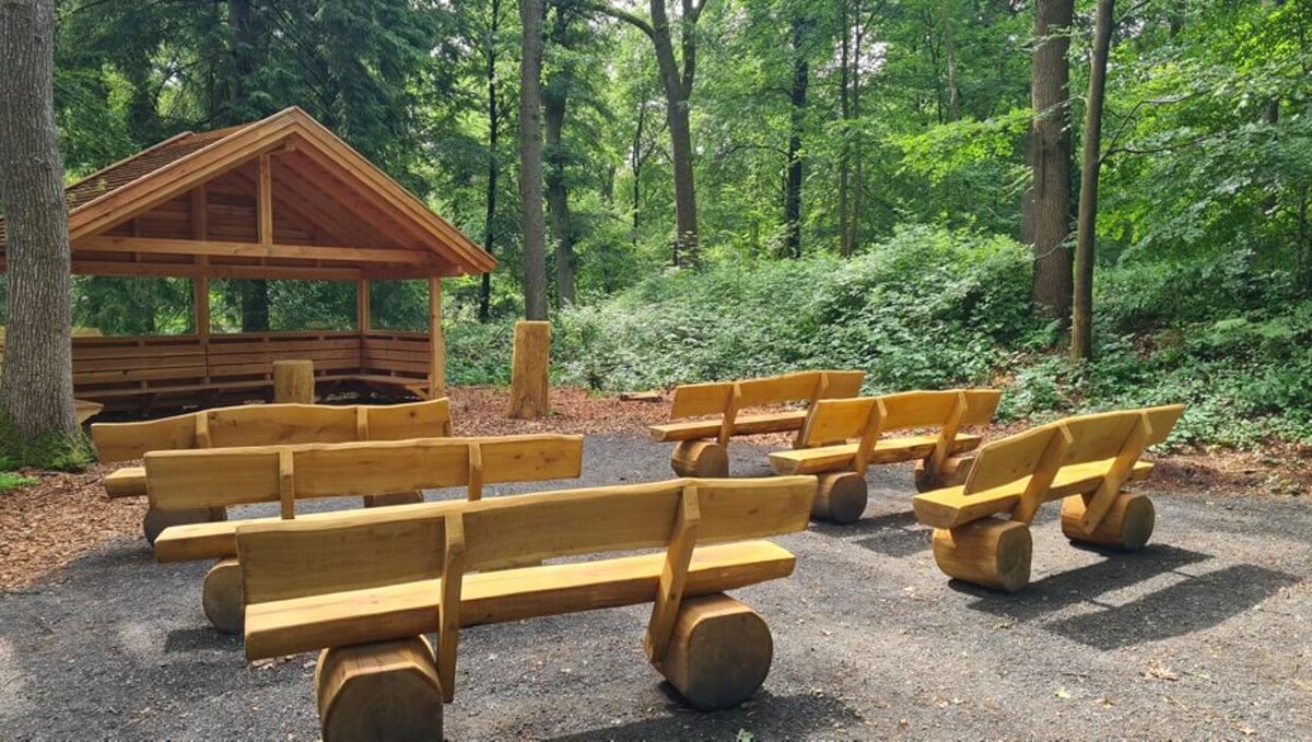 Bilder FriedWald Ostfriesland