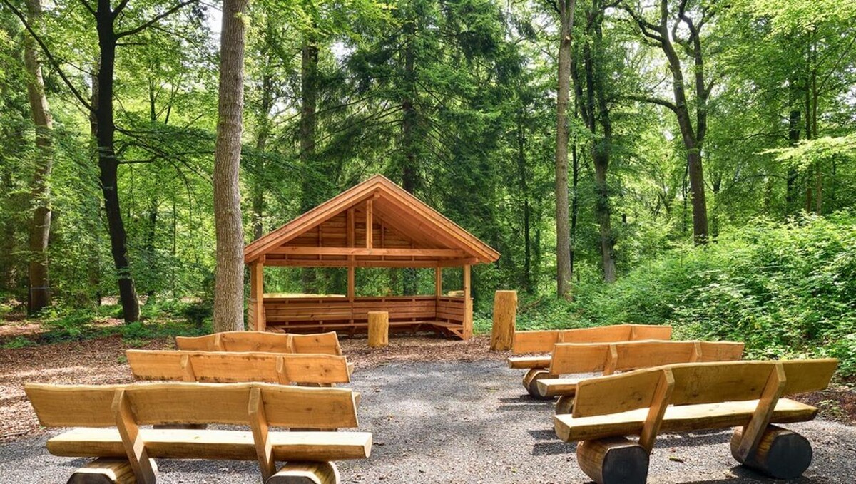 Bilder FriedWald Ostfriesland