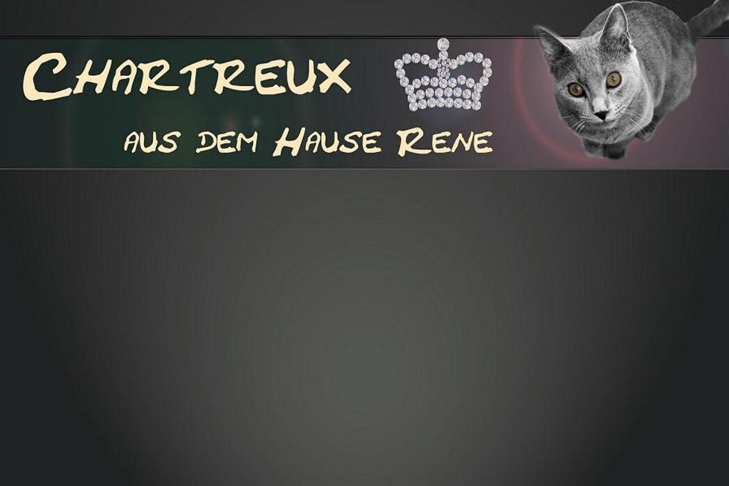 Chartreux - Kartäuser - aus dem Hause Rene Logo