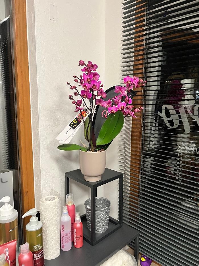 Bilder Doris Schwarz * PicoDoro * Friseur & Kunsthandwerk