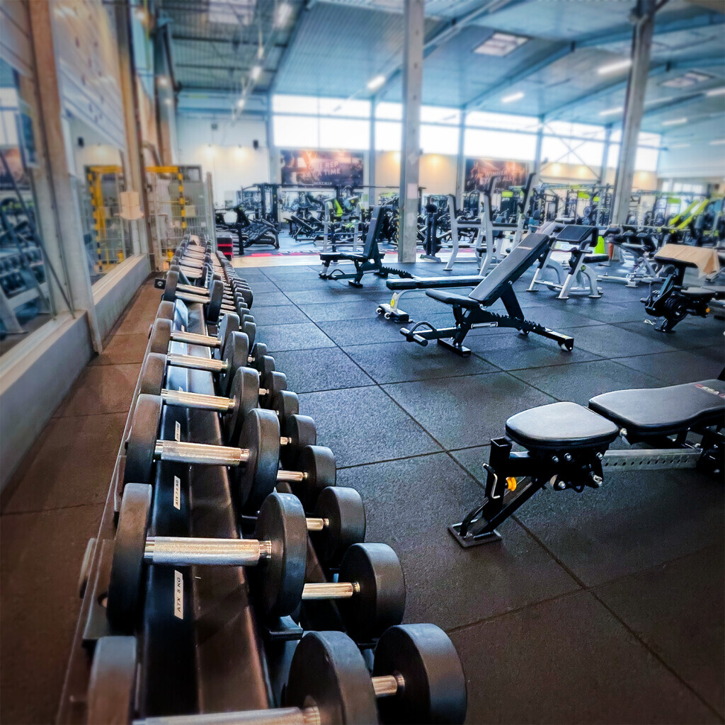 Bilder FITNESS HALLE 46