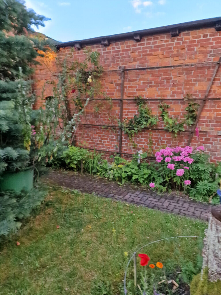 Bilder Hanseatic Haus- & Grundstücksservice