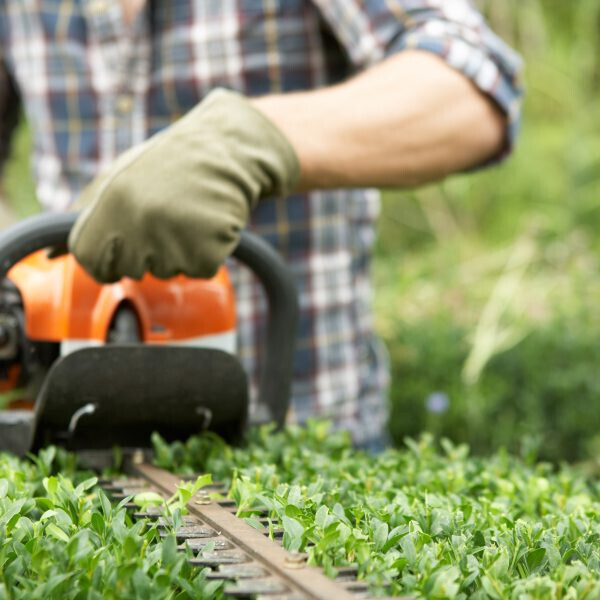 Bilder Hanseatic Haus- & Grundstücksservice