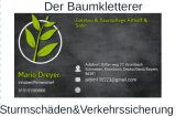 Baumpflege Dreyer Althoff Logo