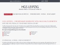 Website Screenshot HGS Leipzig