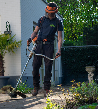 Bilder Gartenservice Motz
