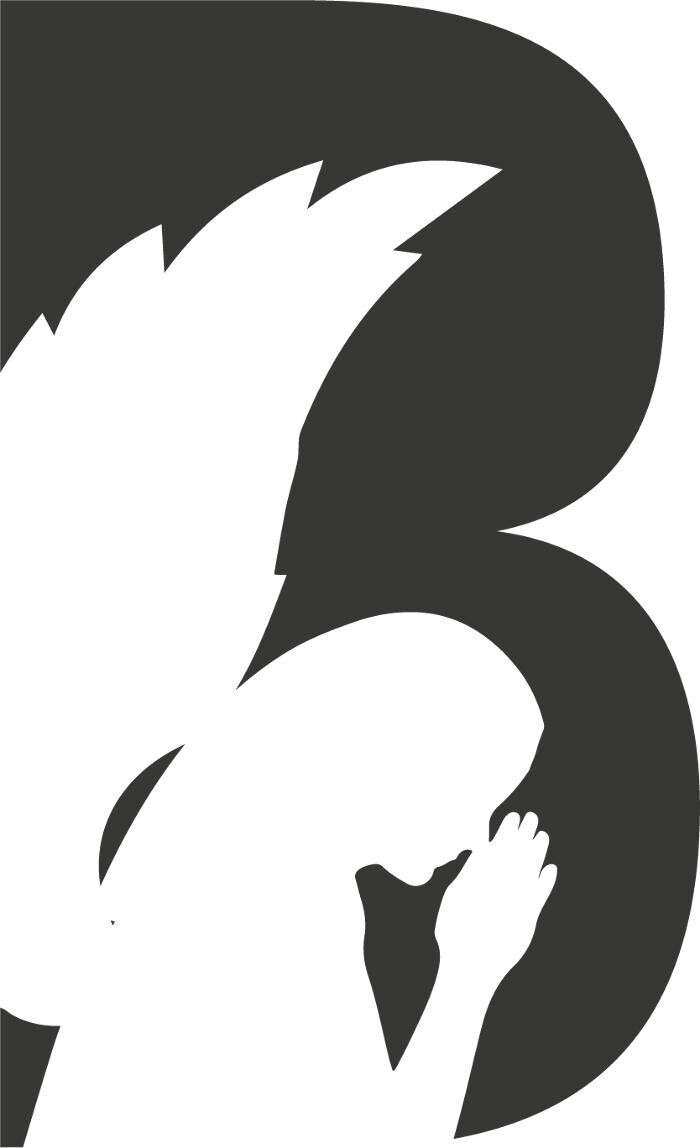 Brachlow Bestattungen Hannover-Bestatter Hannover Logo