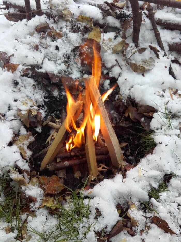 Bilder Skunk-Survival