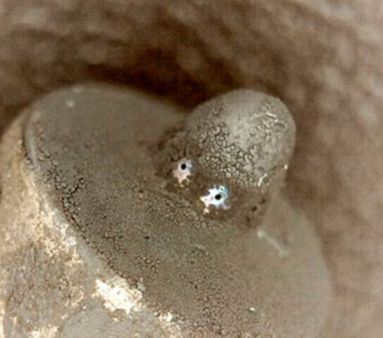 Bilder HP.Schmierstoffe