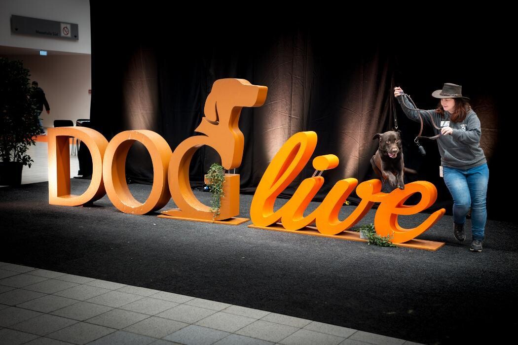 Bilder Hundecoach Melly- Mobil & Individuell