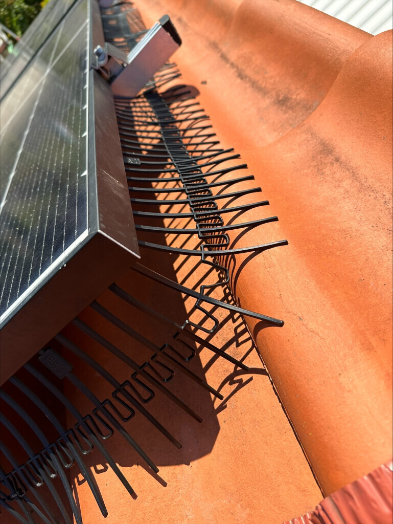 Bilder Gimi Haus & Bau