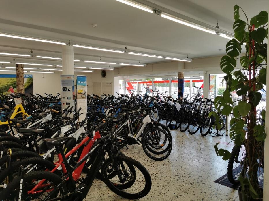 Bilder Fahrradhaus Winter & E-Bike Zentrum Ludwigsburg