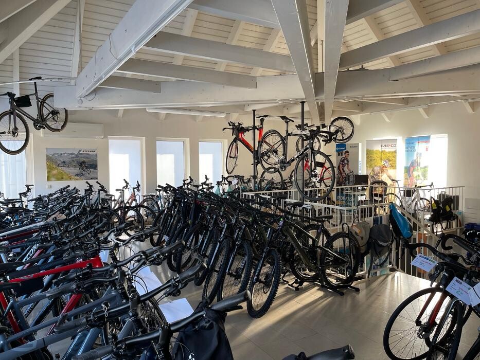 Bilder Fahrradhaus Winter & E-Bike Zentrum Ludwigsburg