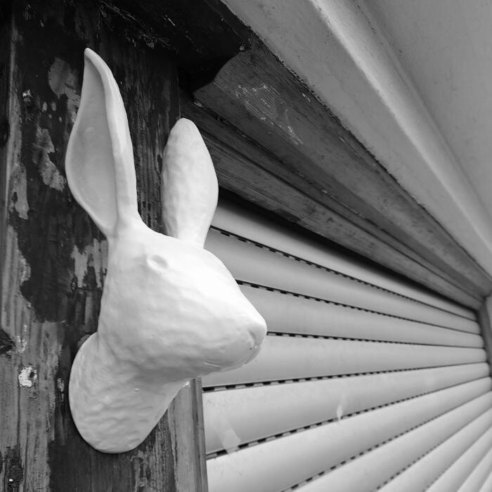 Bilder Mein Freund Harvey