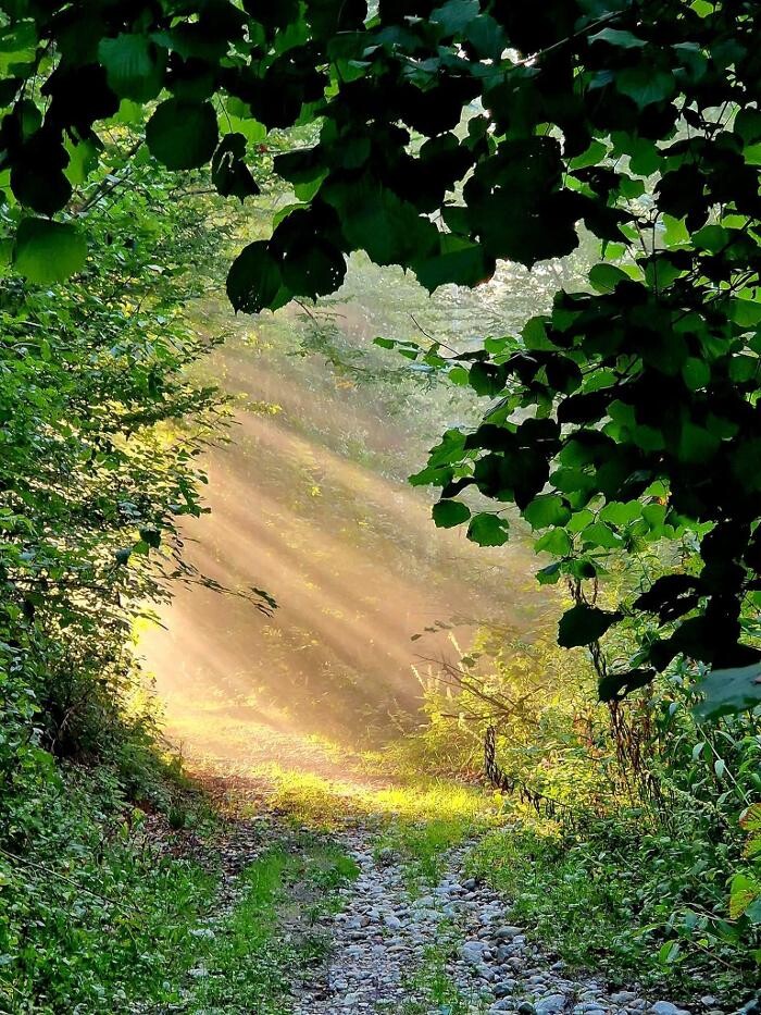 Bilder Paarberatung - Mediation Lichtblick