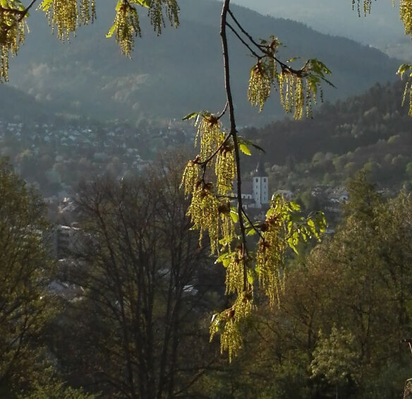 Bilder EluLina - Die kreative Nähstube im Schwarzwald