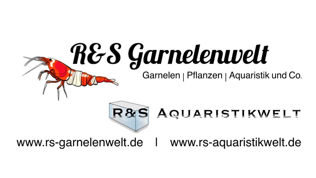 Bilder R&S Garnelenwelt | R&S Aquaristikwelt Online Shop