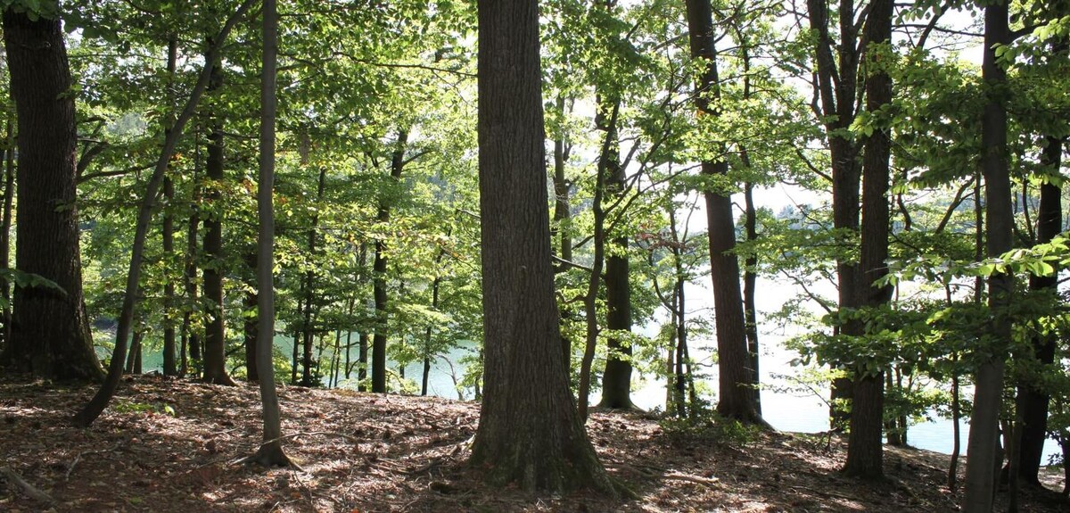 Bilder FriedWald Hückeswagen
