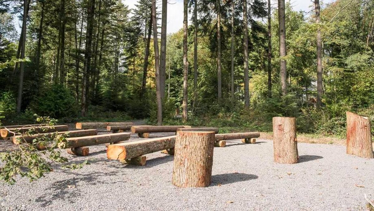 Bilder FriedWald Hückeswagen