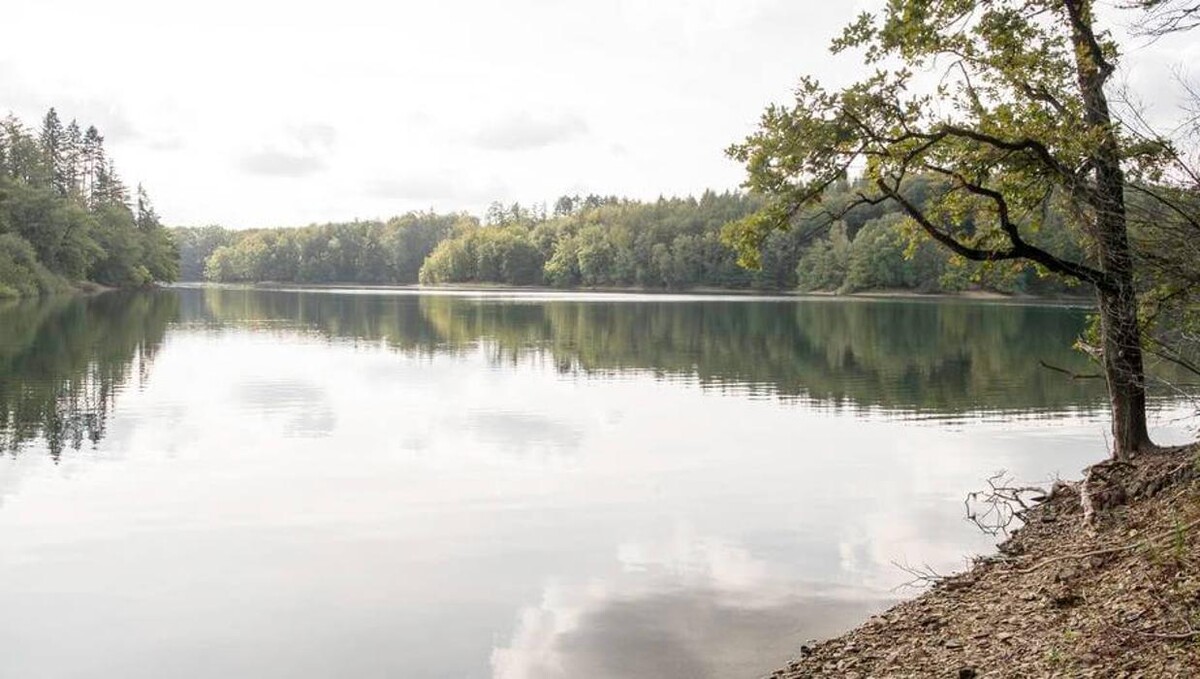 Bilder FriedWald Hückeswagen