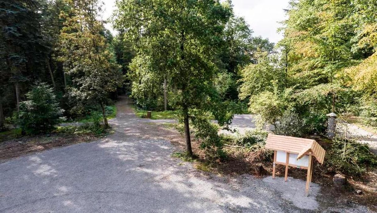 Bilder FriedWald Hückeswagen