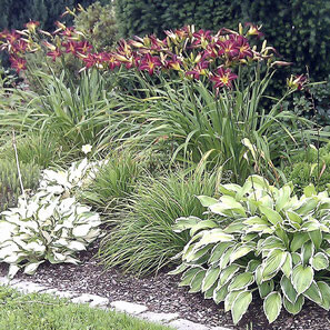 Bilder GARTENGESTALTUNG Gabrrica