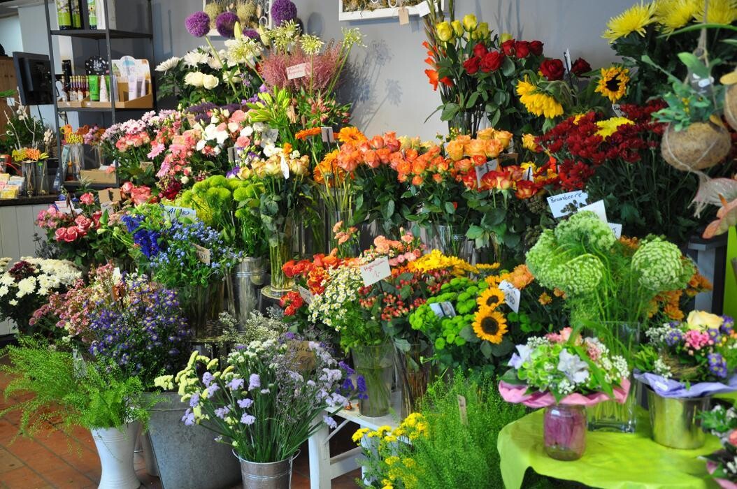 Bilder Blatt & Blüte | natürlich kreativ