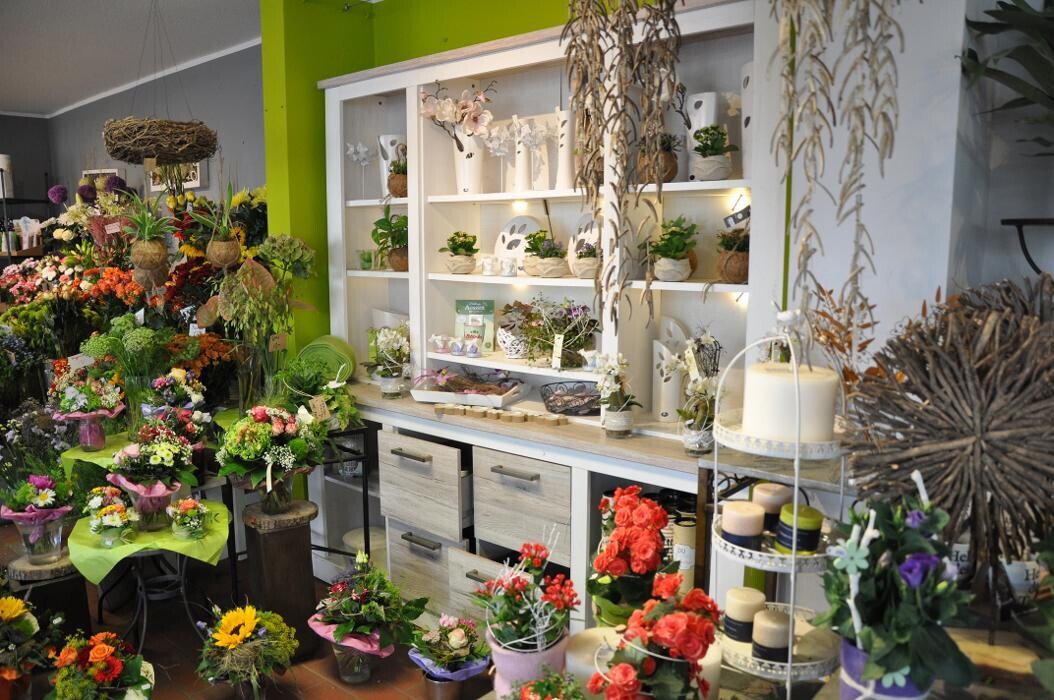 Bilder Blatt & Blüte | natürlich kreativ