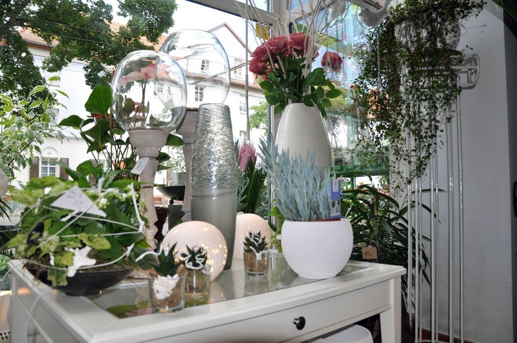 Bilder Blatt & Blüte | natürlich kreativ