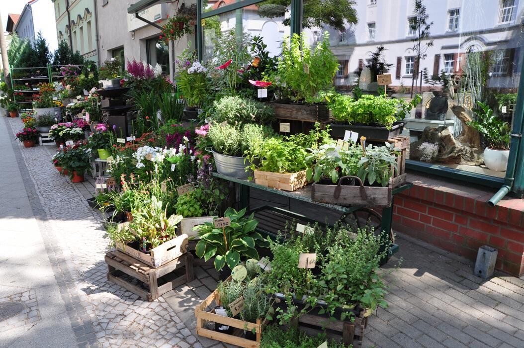 Bilder Blatt & Blüte | natürlich kreativ