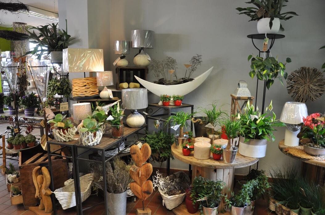 Bilder Blatt & Blüte | natürlich kreativ