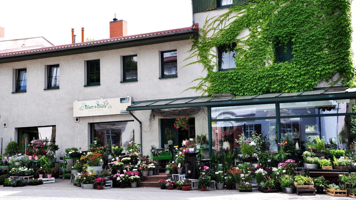 Bilder Blatt & Blüte | natürlich kreativ