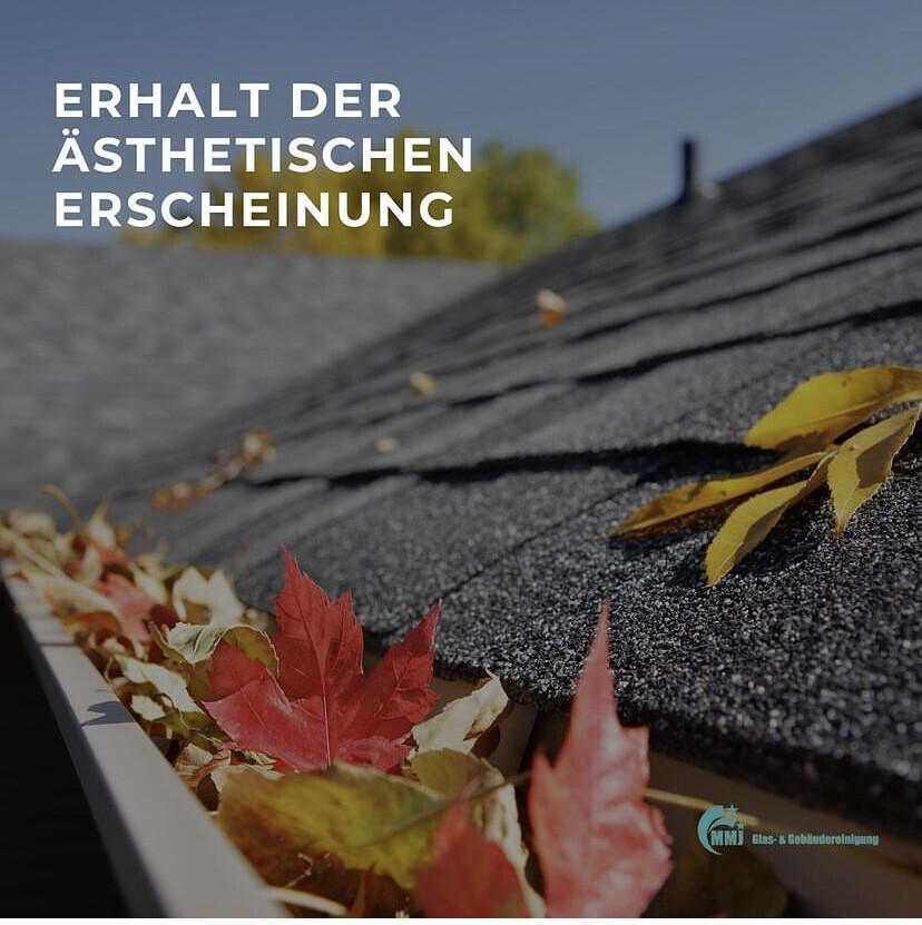 Bilder MMJ Glas- und Gebäudereinigung Manuel Seeliger