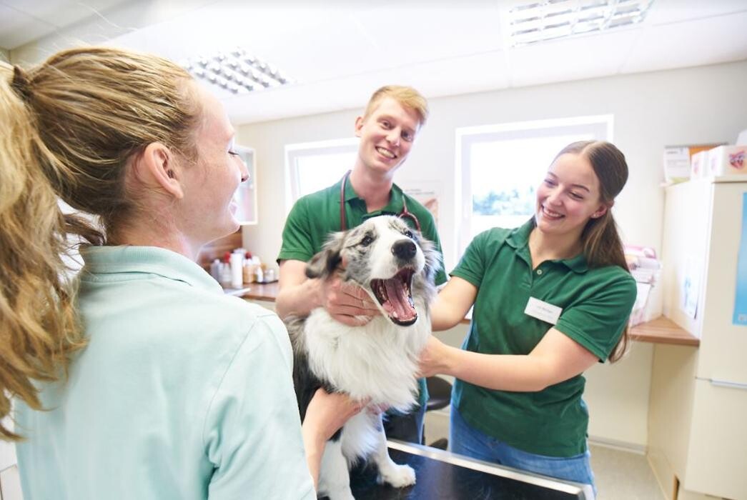 Bilder VetPartners Deutschland