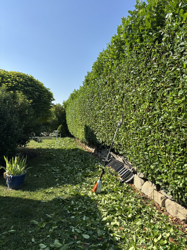 Bilder Deveci Objektbetreuung