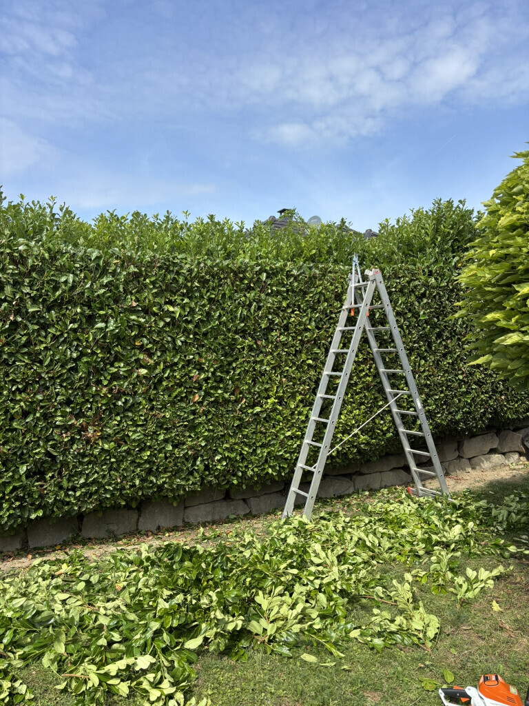 Bilder Deveci Objektbetreuung