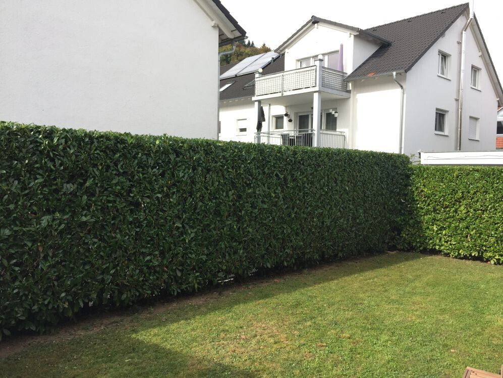 Bilder Deveci Objektbetreuung