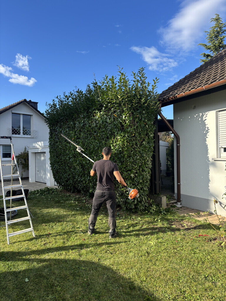 Bilder Deveci Objektbetreuung