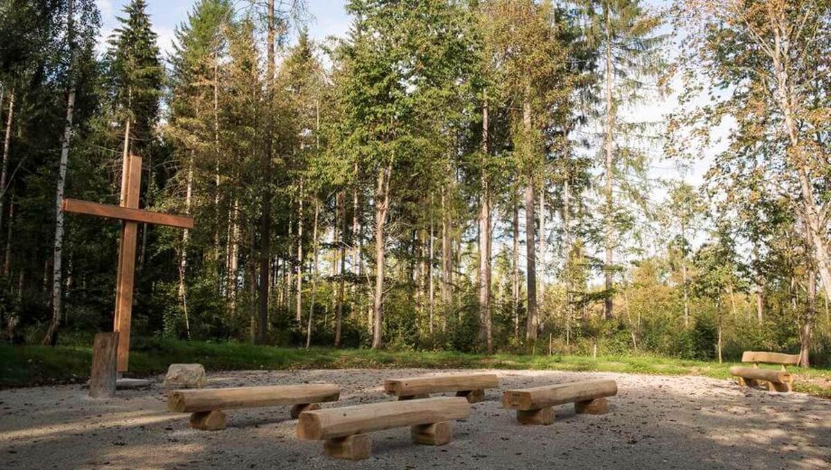 Bilder FriedWald Donaueschingen