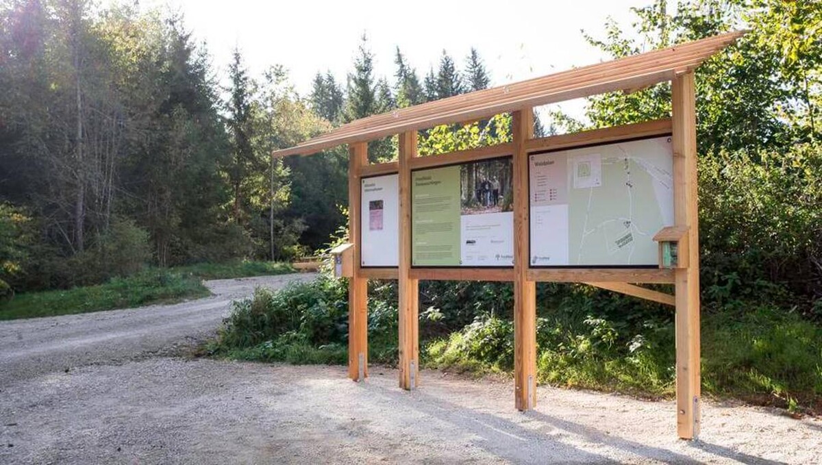Bilder FriedWald Donaueschingen