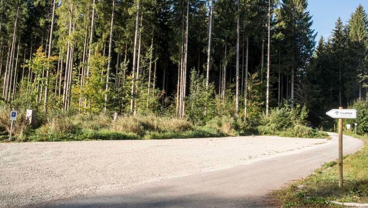Bilder FriedWald Donaueschingen