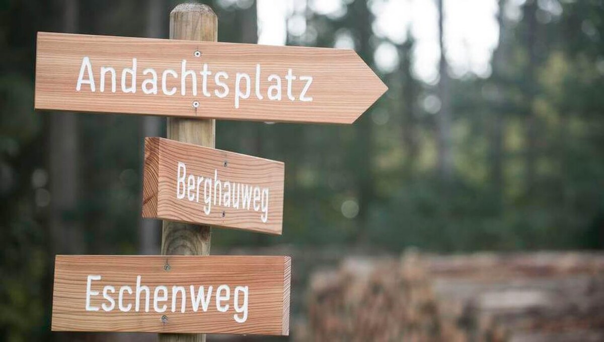 Bilder FriedWald Donaueschingen