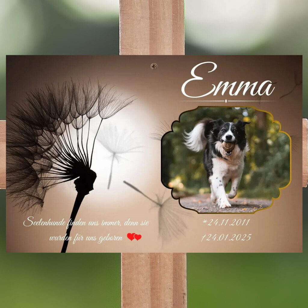 Bilder Regenbogenspuren