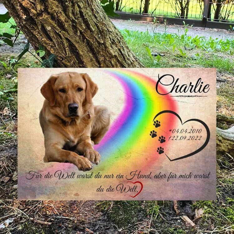 Bilder Regenbogenspuren