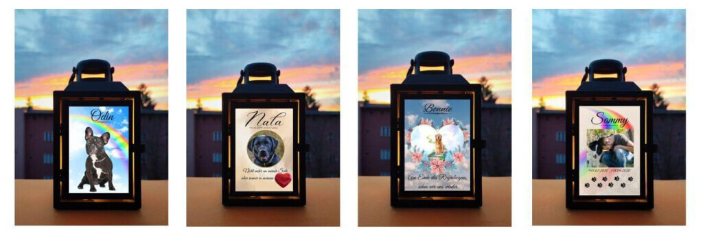 Bilder Regenbogenspuren