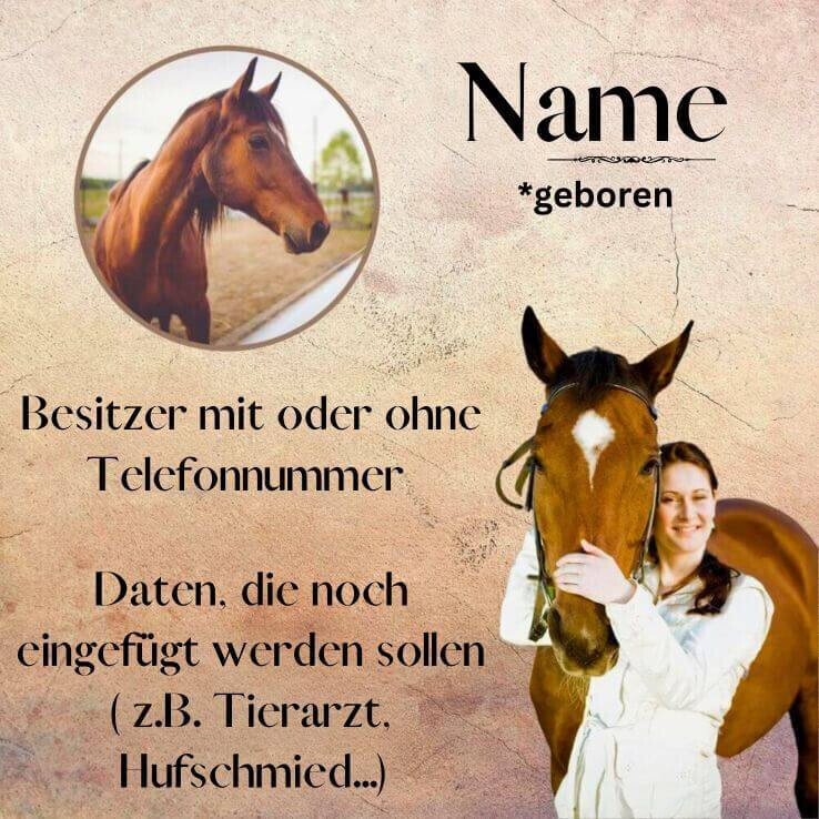 Bilder Regenbogenspuren